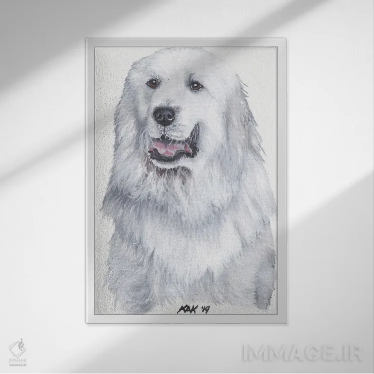 تابلو دکوراتیو سگ گریت پیرنه اثر هنر و طراحی KAK - نمای قابدار سفید