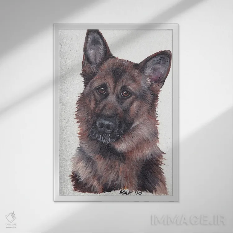تابلو دکوراتیو سگ ژرمن شپرد اثر هنر و طراحی KAK - نمای قابدار سفید