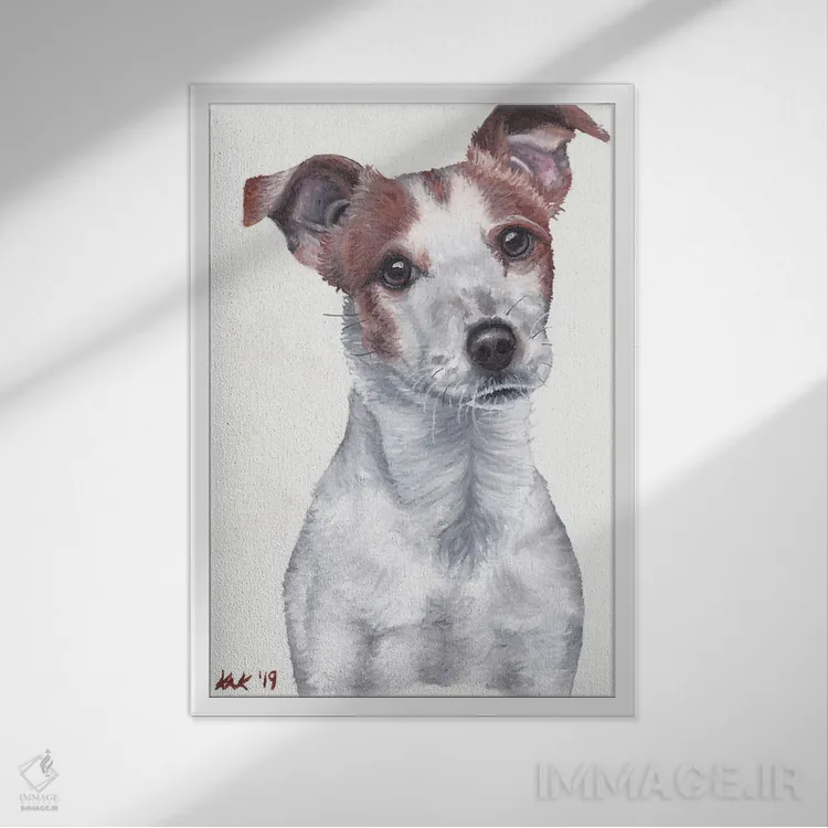 تابلو دکوراتیو سگ جک راسل تریر اثر هنر و طراحی KAK - نمای قابدار سفید