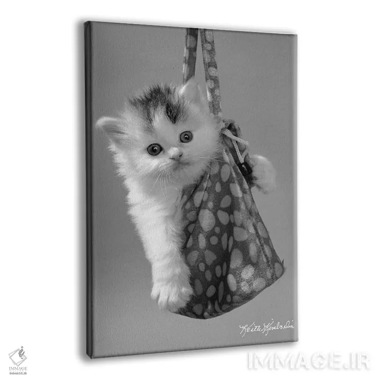 تابلو دکوراتیو در حال حرکت اثر کیت کیمبرلین - نمای پرسپکتیو محصول