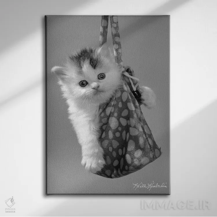 تابلو دکوراتیو در حال حرکت اثر کیت کیمبرلین - نمای روبهرو روی دیوار