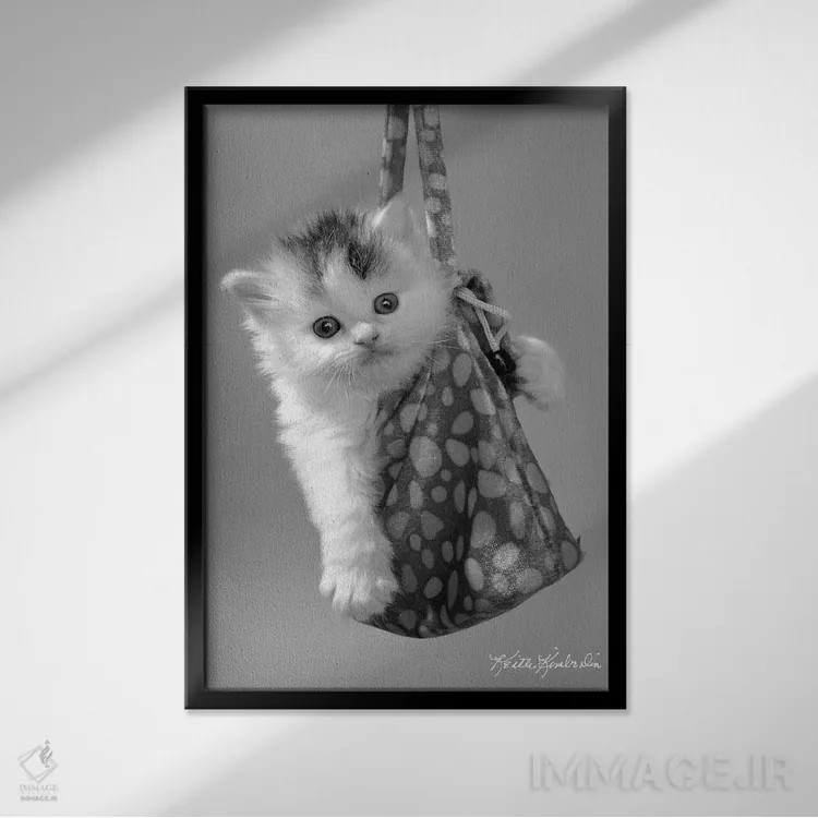 تابلو دکوراتیو در حال حرکت اثر کیت کیمبرلین - نمای قابدار مشکی