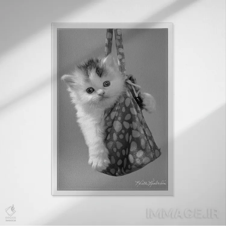 تابلو دکوراتیو در حال حرکت اثر کیت کیمبرلین - نمای قابدار سفید