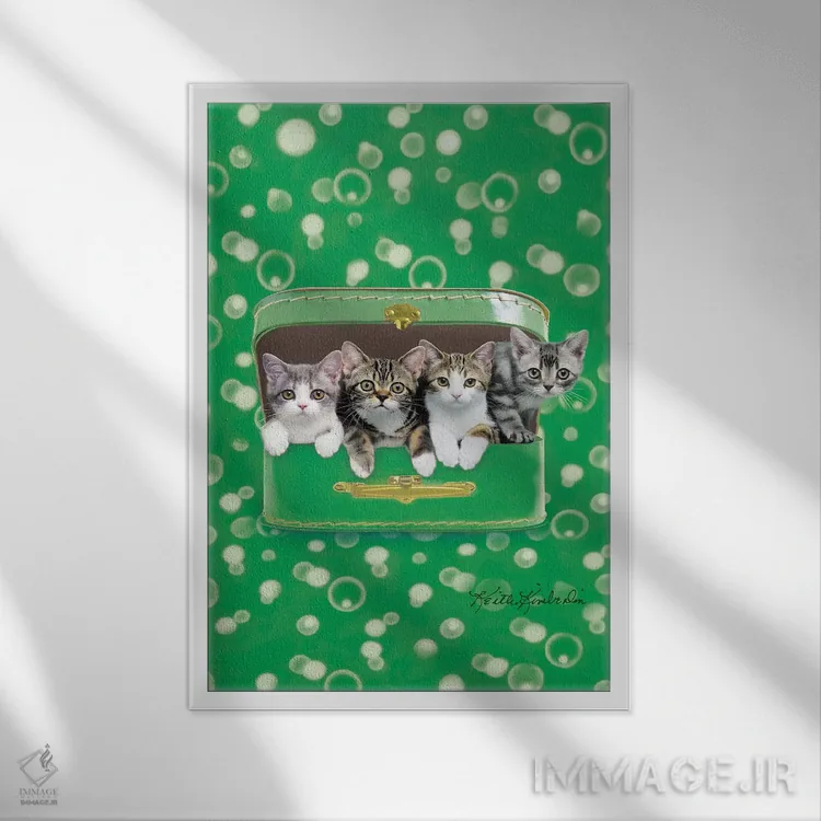 تابلو دکوراتیو سفر خوش اثر کیت کیمبرلین - نمای قابدار سفید