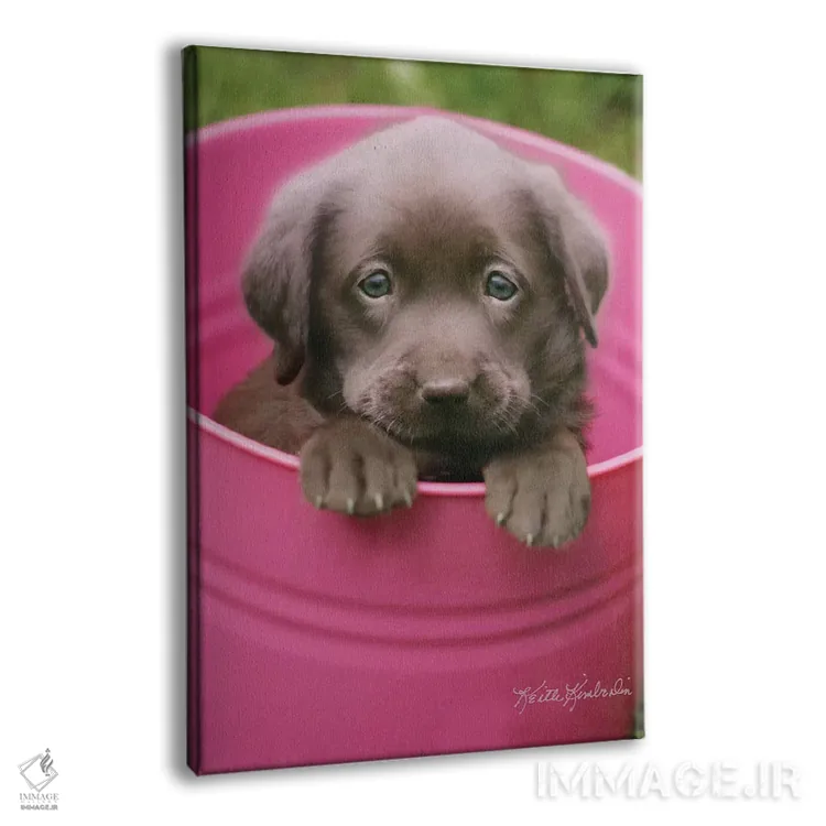 تابلو دکوراتیو پوباورگ کاپ اثر کیت کیمبرلین - نمای پرسپکتیو محصول