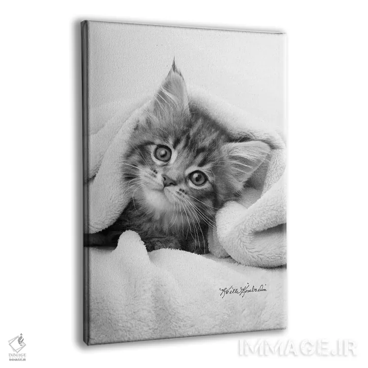 تابلو دکوراتیو حشره در پتو اثر کیت کیمبرلین - نمای پرسپکتیو محصول