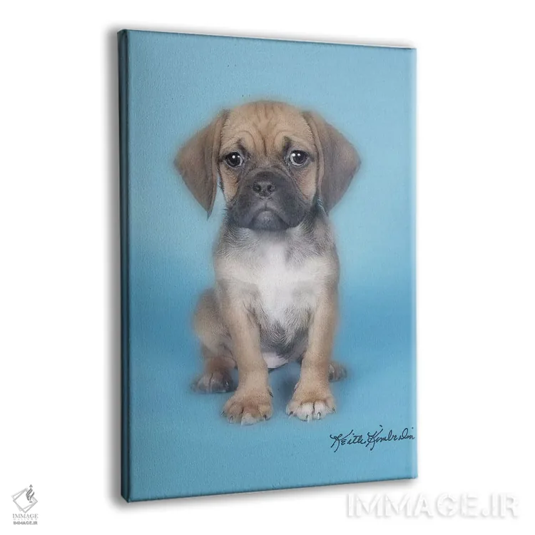 تابلو دکوراتیو رول سوشی اثر کیت کیمبرلین - نمای پرسپکتیو محصول