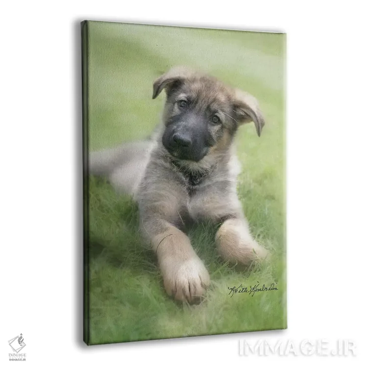 تابلو دکوراتیو شپ اثر کیت کیمبرلین - نمای پرسپکتیو محصول