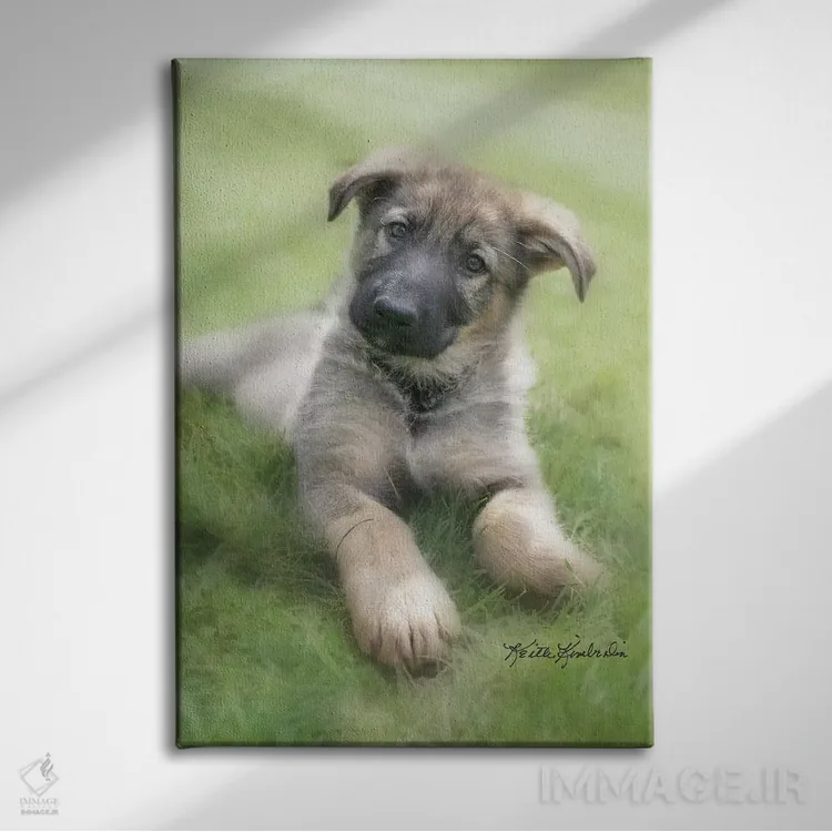 تابلو دکوراتیو شپ اثر کیت کیمبرلین - نمای روبهرو روی دیوار