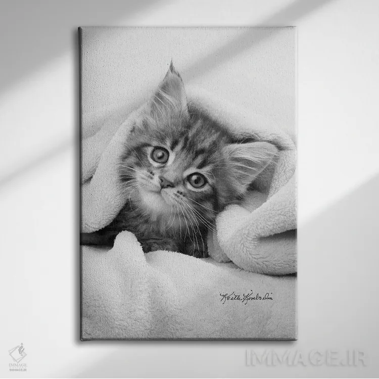 تابلو دکوراتیو حشره در پتو اثر کیت کیمبرلین - نمای روبهرو روی دیوار