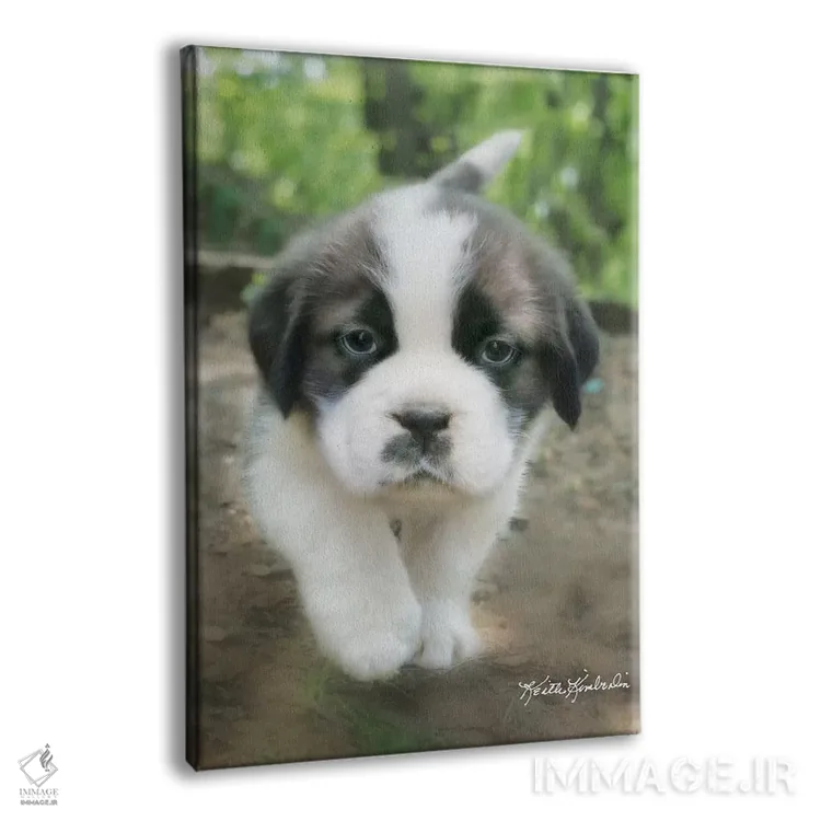 تابلو دکوراتیو چارلی اثر کیت کیمبرلین - نمای پرسپکتیو محصول