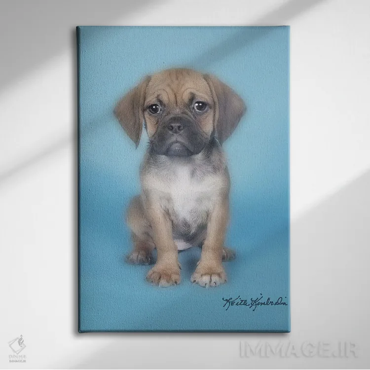 تابلو دکوراتیو رول سوشی اثر کیت کیمبرلین - نمای روبهرو روی دیوار