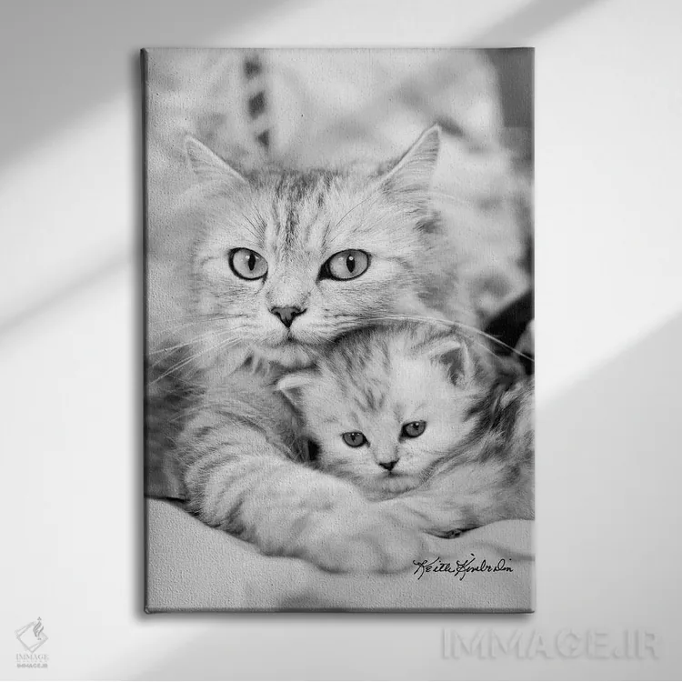 تابلو دکوراتیو توینکی و کیت اثر کیت کیمبرلین - نمای روبهرو روی دیوار