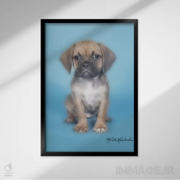 تابلو دکوراتیو رول سوشی اثر کیت کیمبرلین - نمای قابدار مشکی