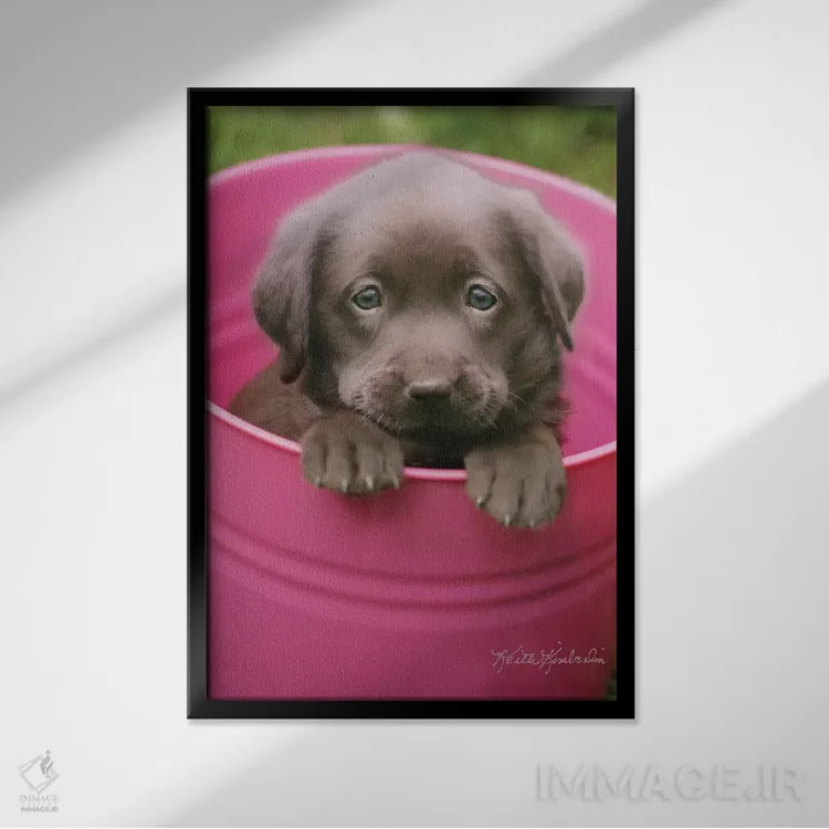 تابلو دکوراتیو پوباورگ کاپ اثر کیت کیمبرلین - نمای قابدار مشکی