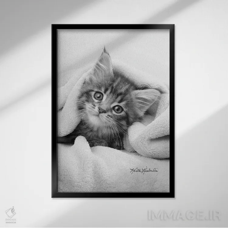 تابلو دکوراتیو حشره در پتو اثر کیت کیمبرلین - نمای قابدار مشکی