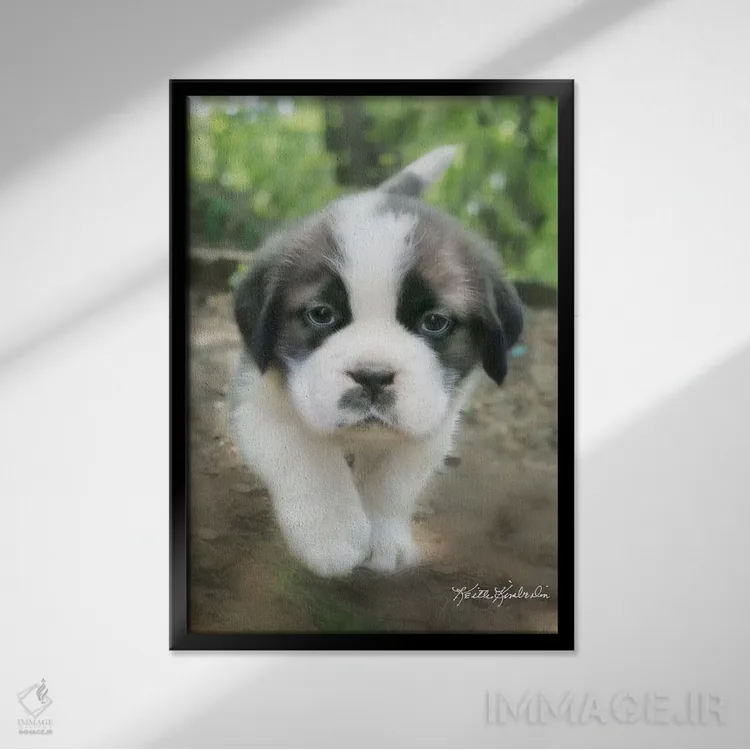 تابلو دکوراتیو چارلی اثر کیت کیمبرلین - نمای قابدار مشکی