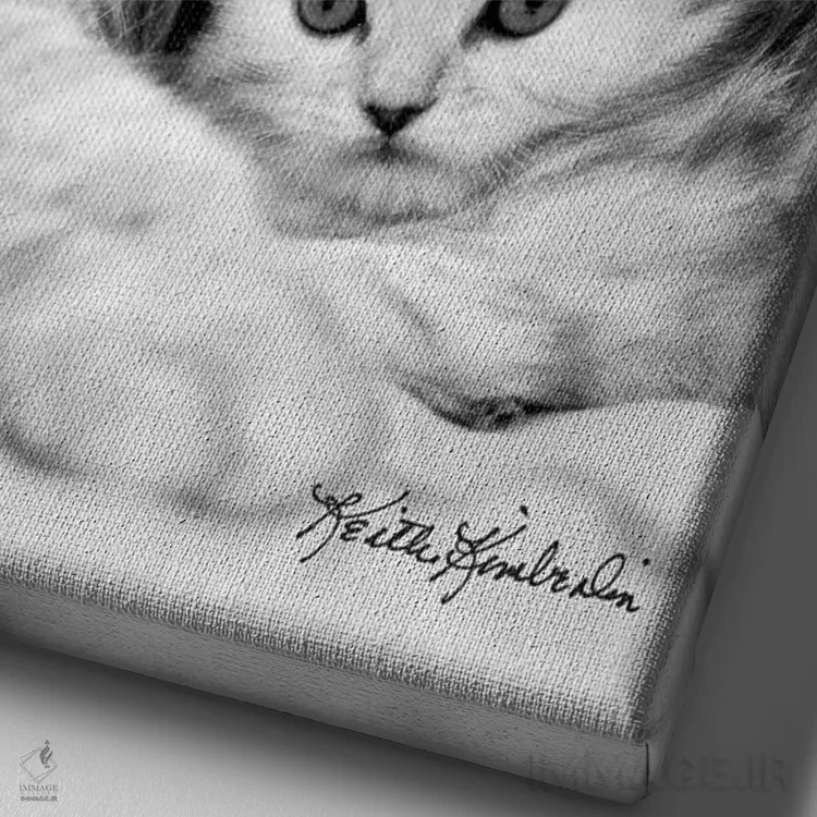 تابلو دکوراتیو توینکی و کیت اثر کیت کیمبرلین - نمای نزدیک بافت بوم