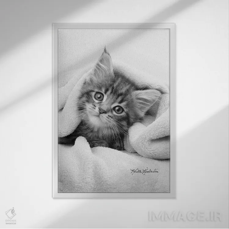تابلو دکوراتیو حشره در پتو اثر کیت کیمبرلین - نمای قابدار سفید