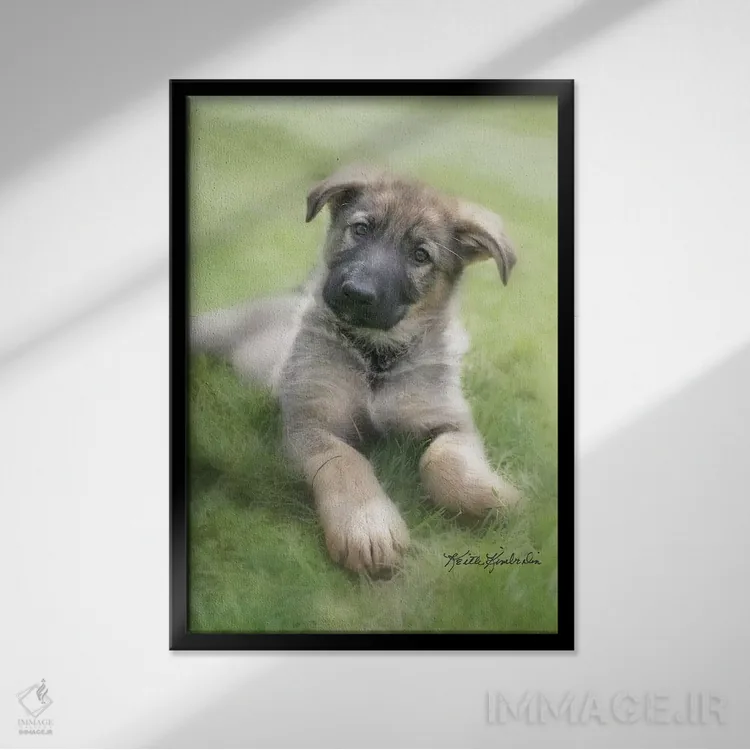 تابلو دکوراتیو شپ اثر کیت کیمبرلین - نمای قابدار مشکی