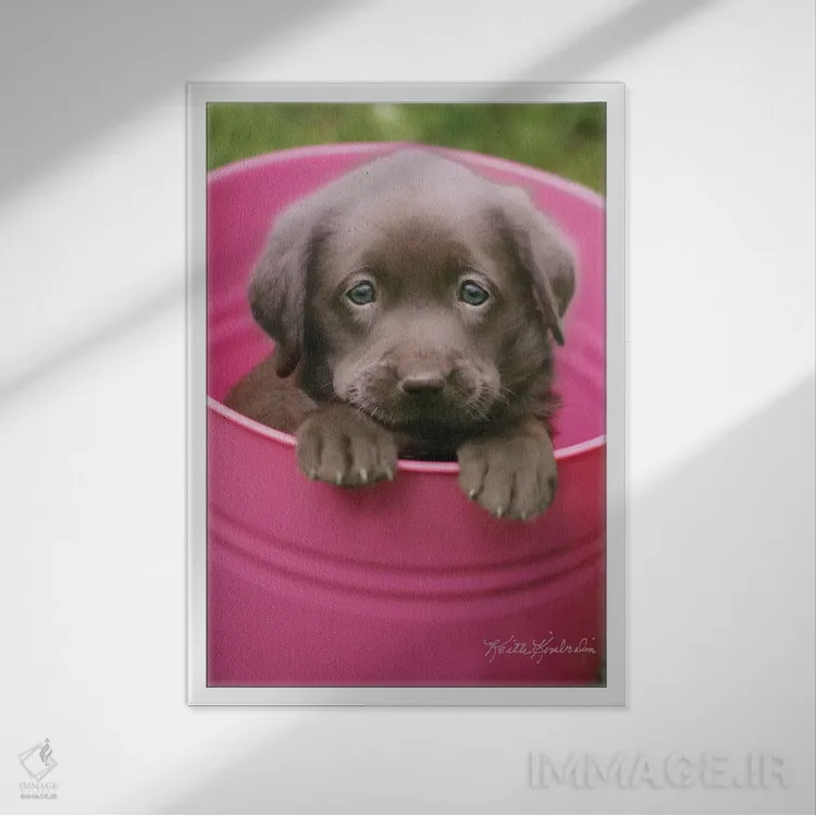 تابلو دکوراتیو پوباورگ کاپ اثر کیت کیمبرلین - نمای قابدار سفید