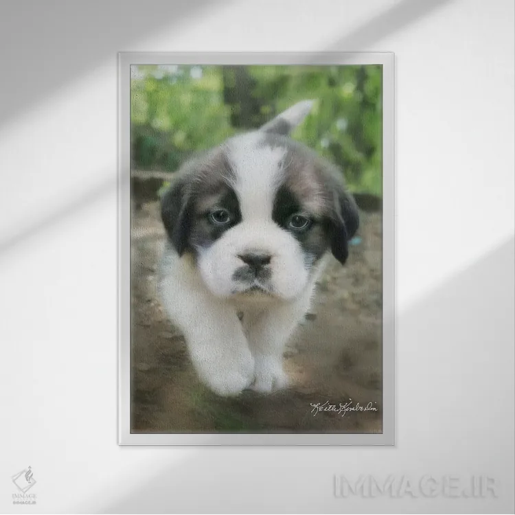 تابلو دکوراتیو چارلی اثر کیت کیمبرلین - نمای قابدار سفید