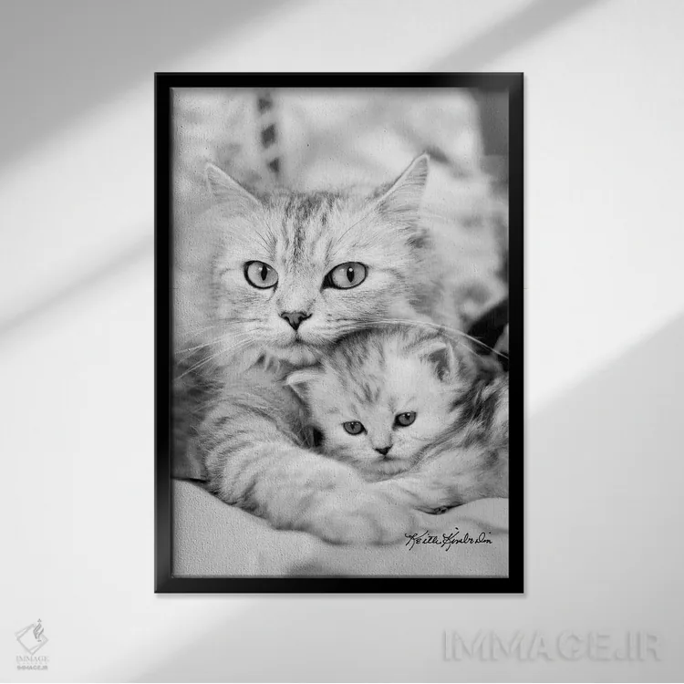 تابلو دکوراتیو توینکی و کیت اثر کیت کیمبرلین - نمای قابدار مشکی