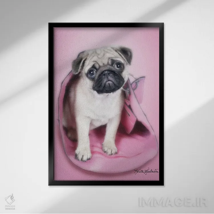 تابلو دکوراتیو پاگ در کیف اثر کیت کیمبرلین - نمای قابدار مشکی