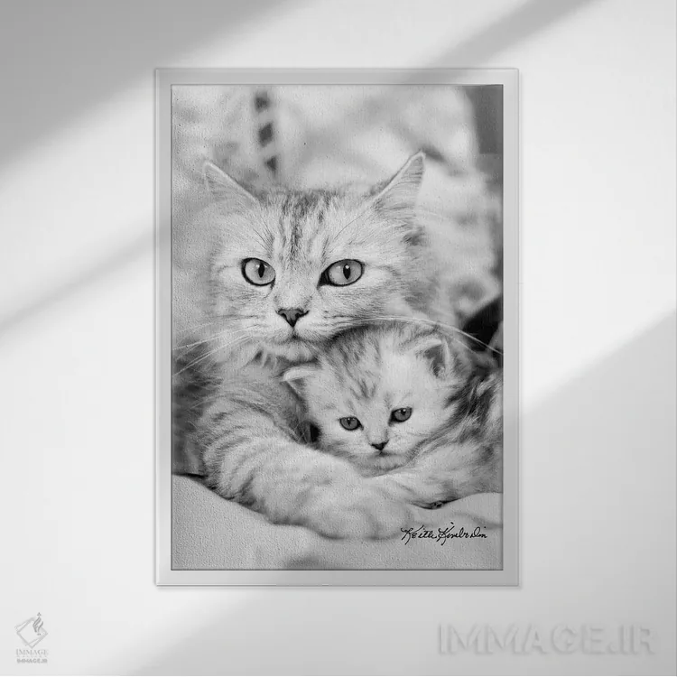 تابلو دکوراتیو توینکی و کیت اثر کیت کیمبرلین - نمای قابدار سفید