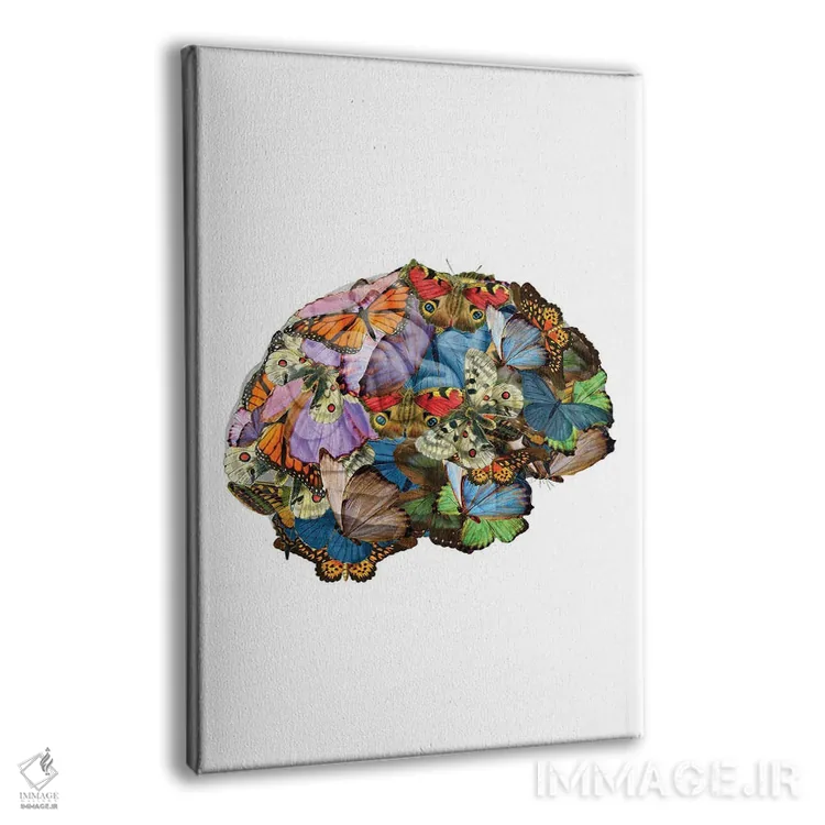 تابلو مینیمال پروانه ها در ذهنم اثر کیکی سی لندن - نمای پرسپکتیو محصول