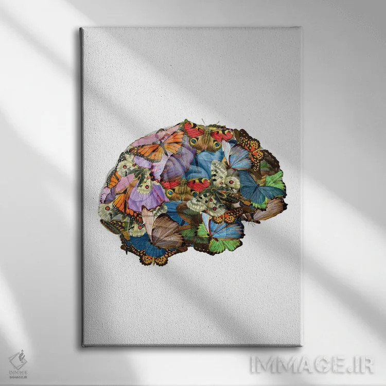 تابلو مینیمال پروانه ها در ذهنم اثر کیکی سی لندن - نمای روبهرو روی دیوار