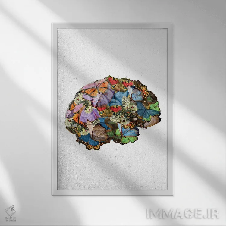 تابلو مینیمال پروانه ها در ذهنم اثر کیکی سی لندن - نمای قابدار سفید