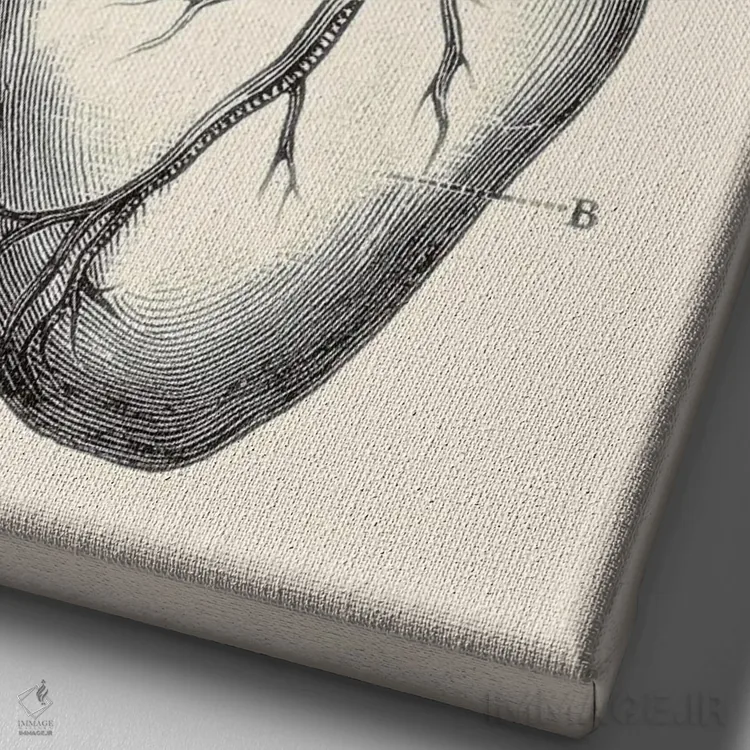 تابلو دکوراتیو تو اینجایی اثر کیکی سی لندن - نمای نزدیک بافت بوم