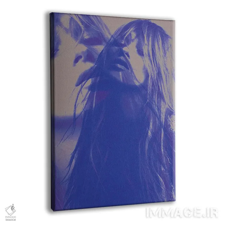 تابلو دکوراتیو کیت مضاعف اثر کیکی سی لندن - نمای پرسپکتیو محصول