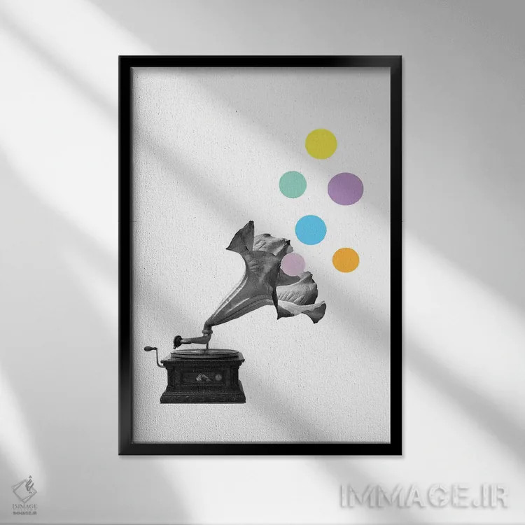 تابلو مینیمال گراموفلاور اثر کیکی سی لندن - نمای قابدار مشکی