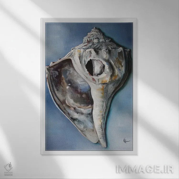 تابلو دکوراتیو حلزون صاعقه ای اثر کریستین کاینر - نمای قابدار سفید