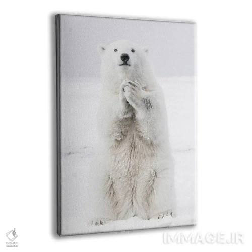 تابلو دکوراتیو خرس قطبی III اثر کارن منداو - نمای پرسپکتیو محصول
