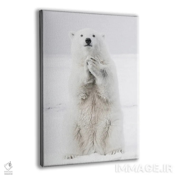تابلو دکوراتیو خرس قطبی III اثر کارن منداو - نمای پرسپکتیو محصول