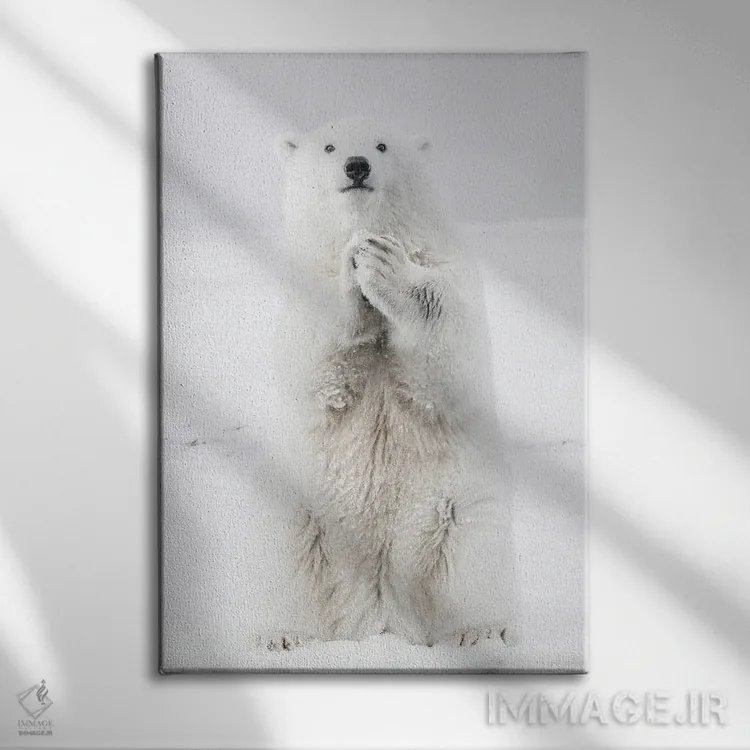 تابلو دکوراتیو خرس قطبی III اثر کارن منداو - نمای روبهرو روی دیوار