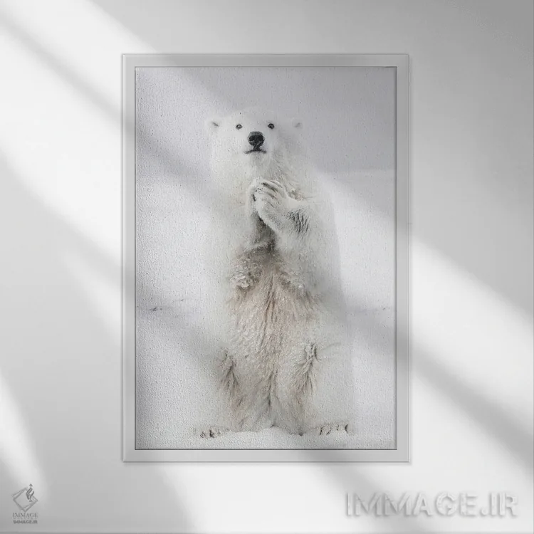 تابلو دکوراتیو خرس قطبی III اثر کارن منداو - نمای قابدار سفید