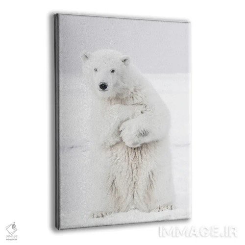 تابلو دکوراتیو خرس قطبی II اثر کارن منداو - نمای پرسپکتیو محصول