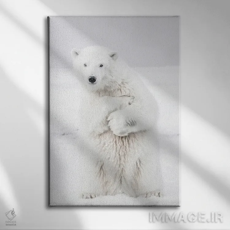 تابلو دکوراتیو خرس قطبی II اثر کارن منداو - نمای روبهرو روی دیوار