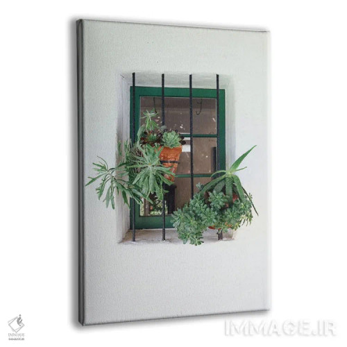 تابلو دکوراتیو پنجره با گیاهان اثر کارن منداو - نمای پرسپکتیو محصول