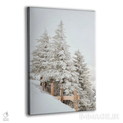 تابلو دکوراتیو درختان کاج سفید با نرده اثر کارن منداو - نمای پرسپکتیو محصول