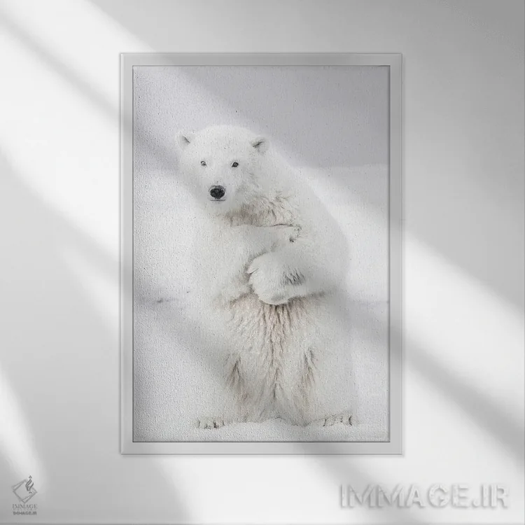 تابلو دکوراتیو خرس قطبی II اثر کارن منداو - نمای قابدار سفید