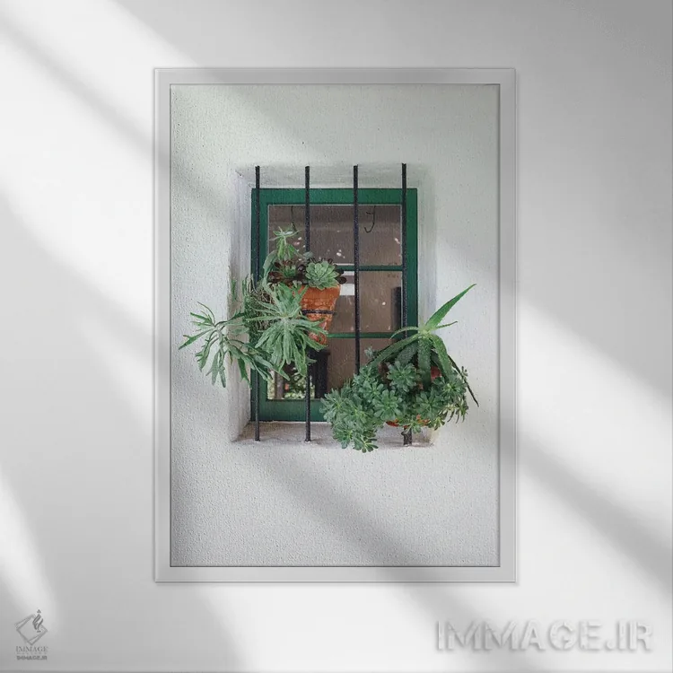 تابلو دکوراتیو پنجره با گیاهان اثر کارن منداو - نمای قابدار سفید