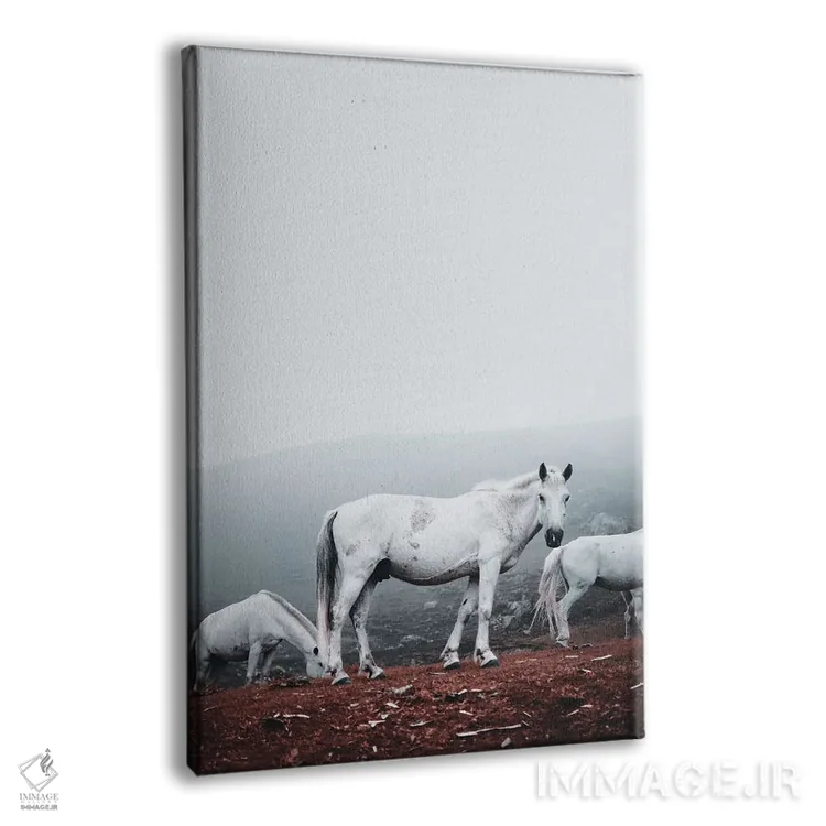 تابلو دکوراتیو اسب های سفید وحشی اثر کارن منداو - نمای پرسپکتیو محصول