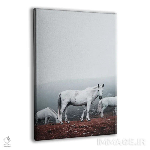 تابلو دکوراتیو اسب های سفید وحشی اثر کارن منداو - نمای پرسپکتیو محصول