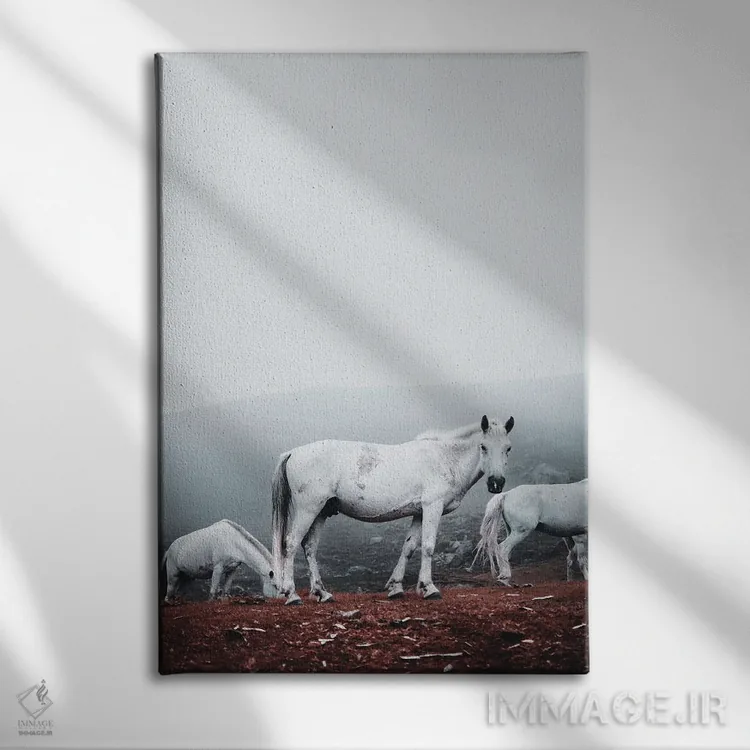 تابلو دکوراتیو اسب های سفید وحشی اثر کارن منداو - نمای روبهرو روی دیوار