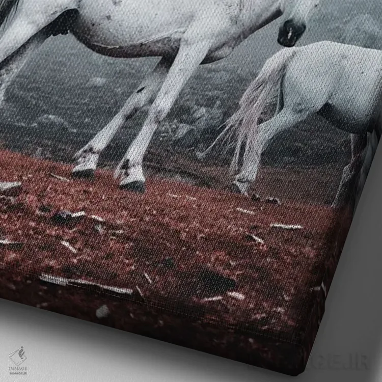 تابلو دکوراتیو اسب های سفید وحشی اثر کارن منداو - نمای نزدیک بافت بوم